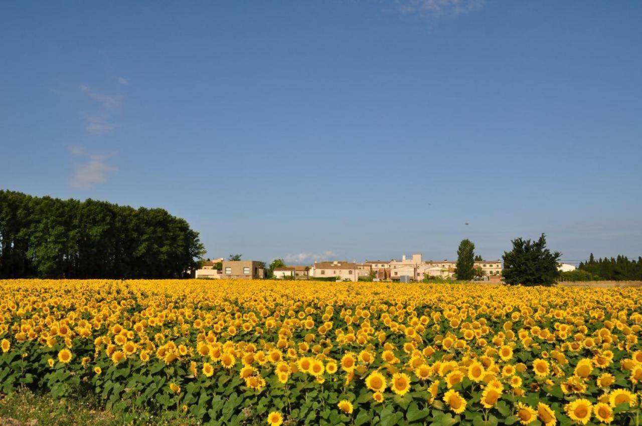 Bed and Breakfast L'hort de Sant Cebrià à Torroella de Fluviá Extérieur photo